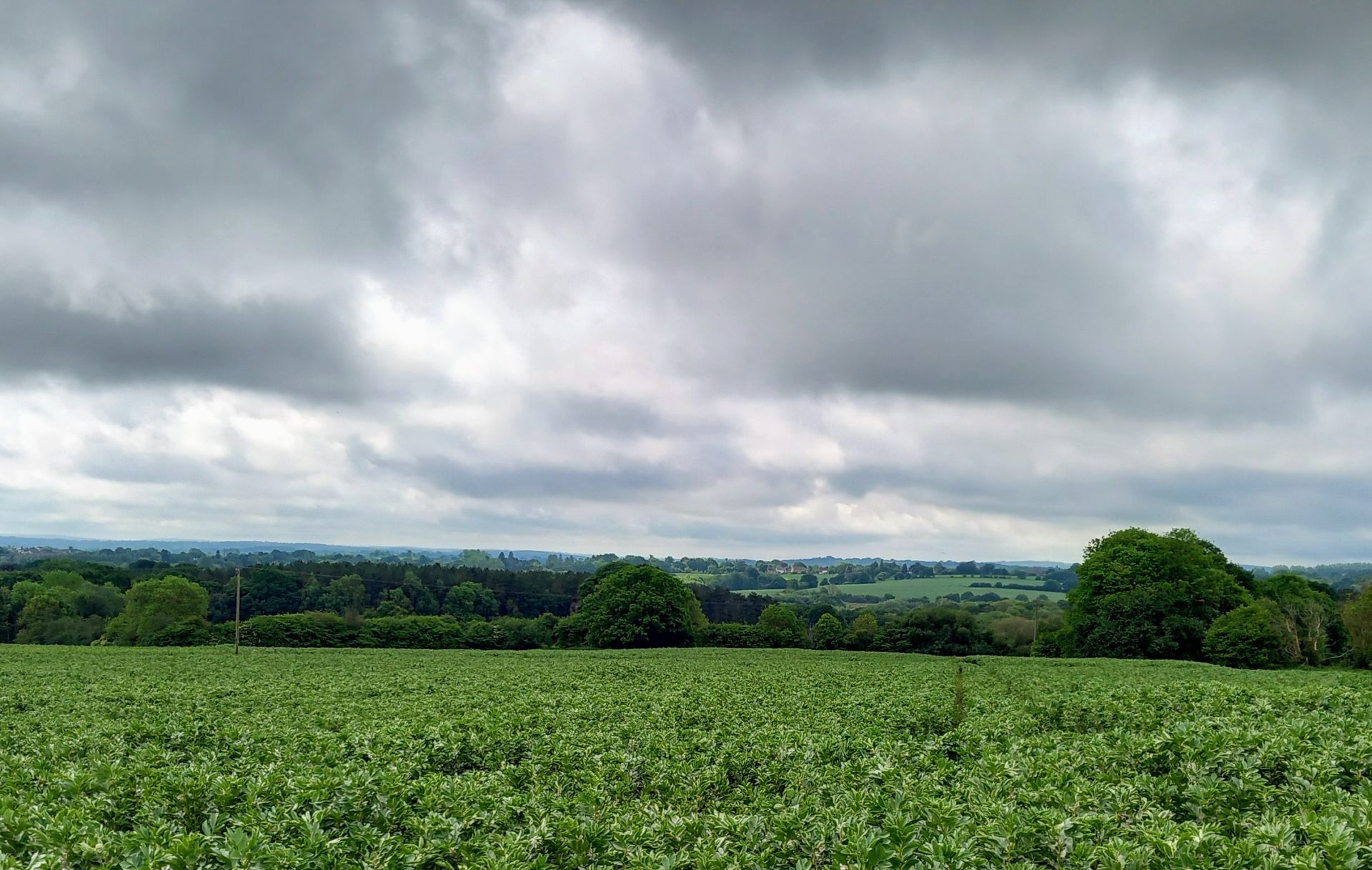 Good views